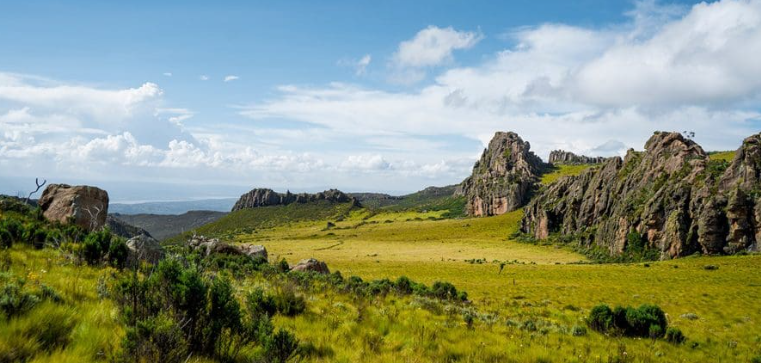 Aberdare national park