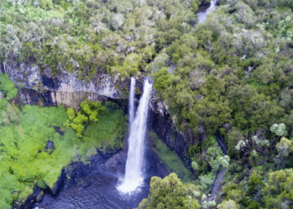 Aberdare national park