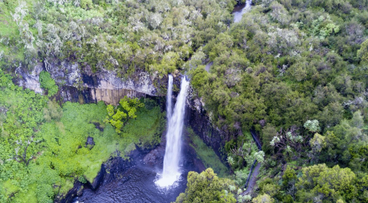 Aberdare national park