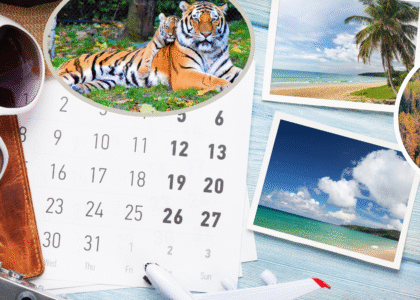 BEST tOUR COMPANIES
