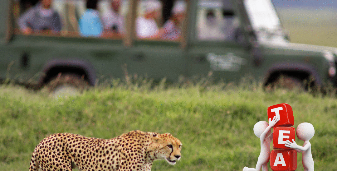 Best Safari Companies for Corporate Vacations in Kenya