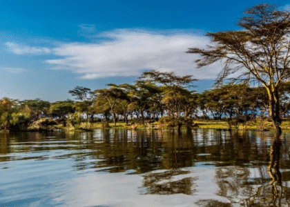 Lake Naivasha