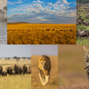 Maasai Mara safari package