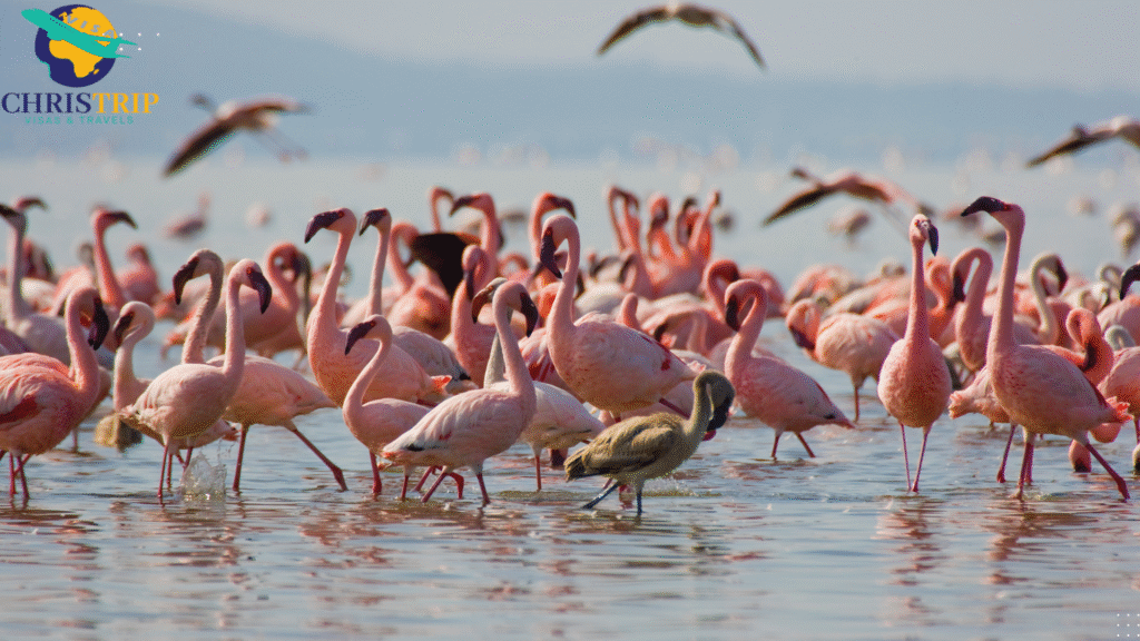 Lake Nakuru National Park