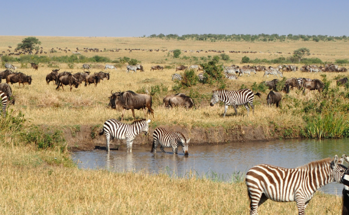 Maasai Mara National Park