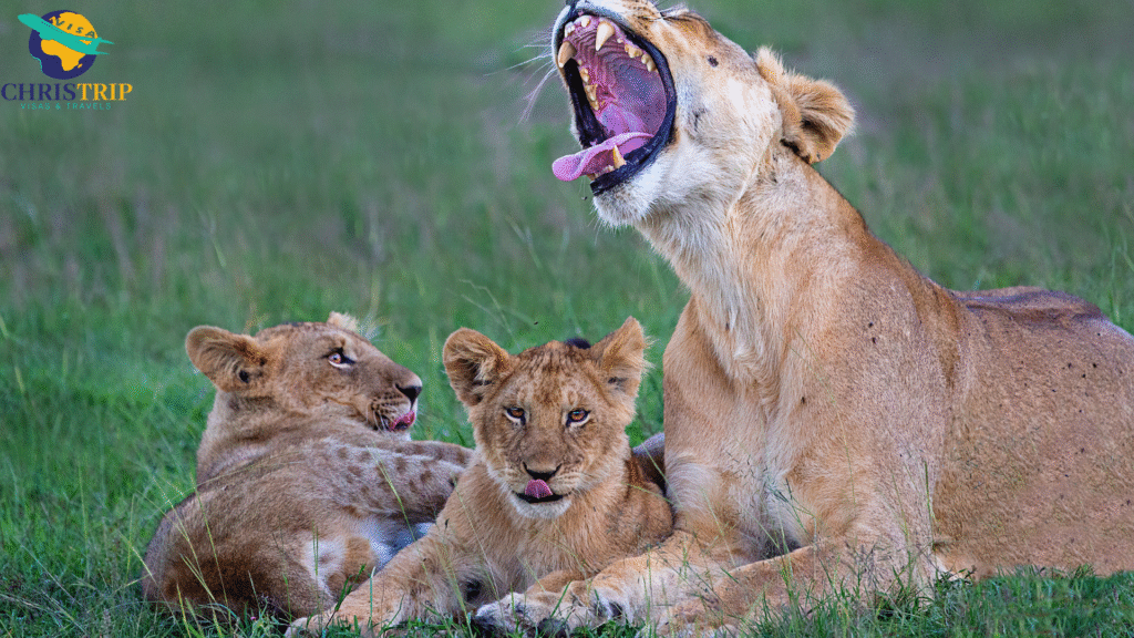 Serengeti National Park