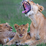 Serengeti National Park