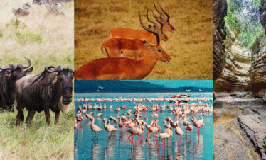 Masai Mara, Lake Nakuru & Hell’s Gate safari packages