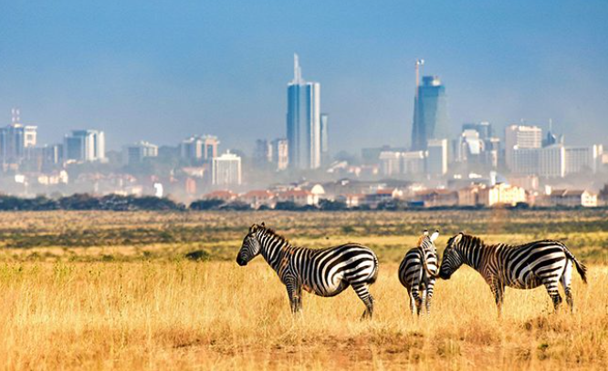 Nairobi National Park