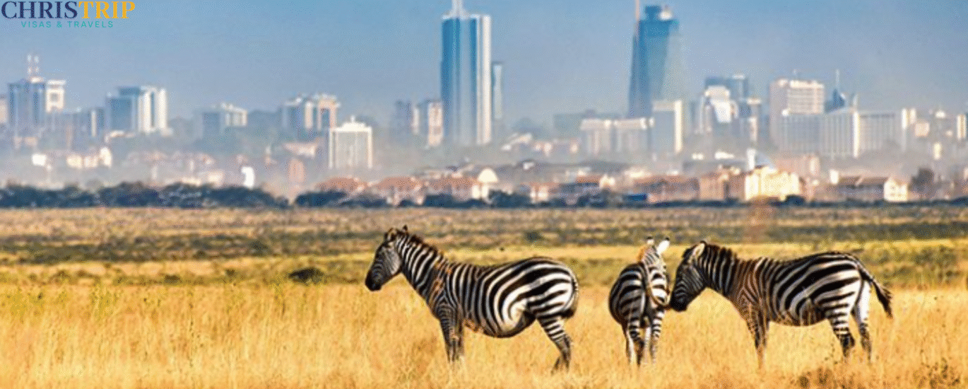 Nairobi national park