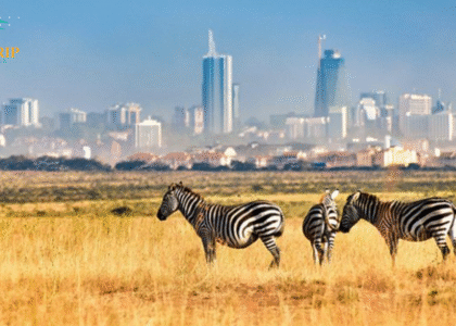 Nairobi national park