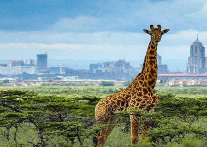 Nairobi National Park