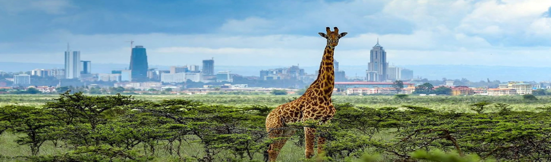 Nairobi National Park