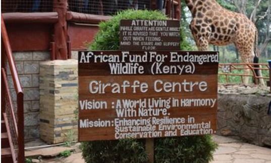 Giraffe center