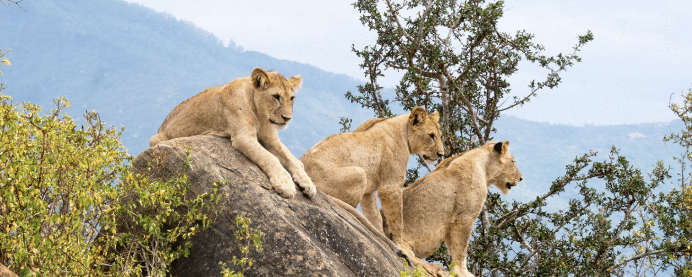 Queen Elizabeth National Park