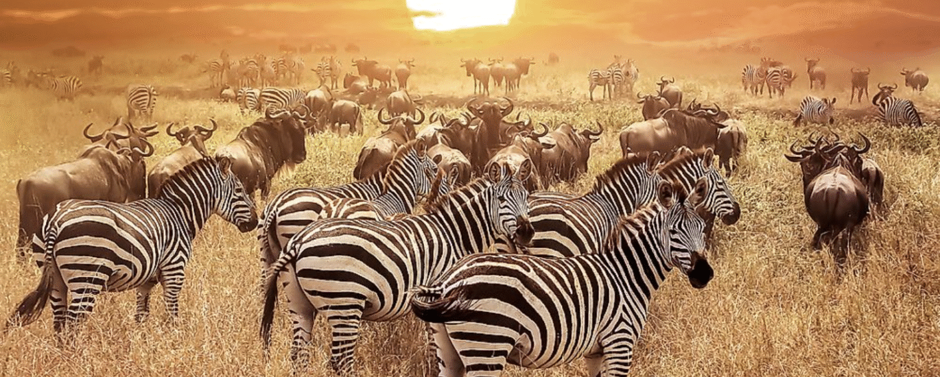 Serengeti National Park