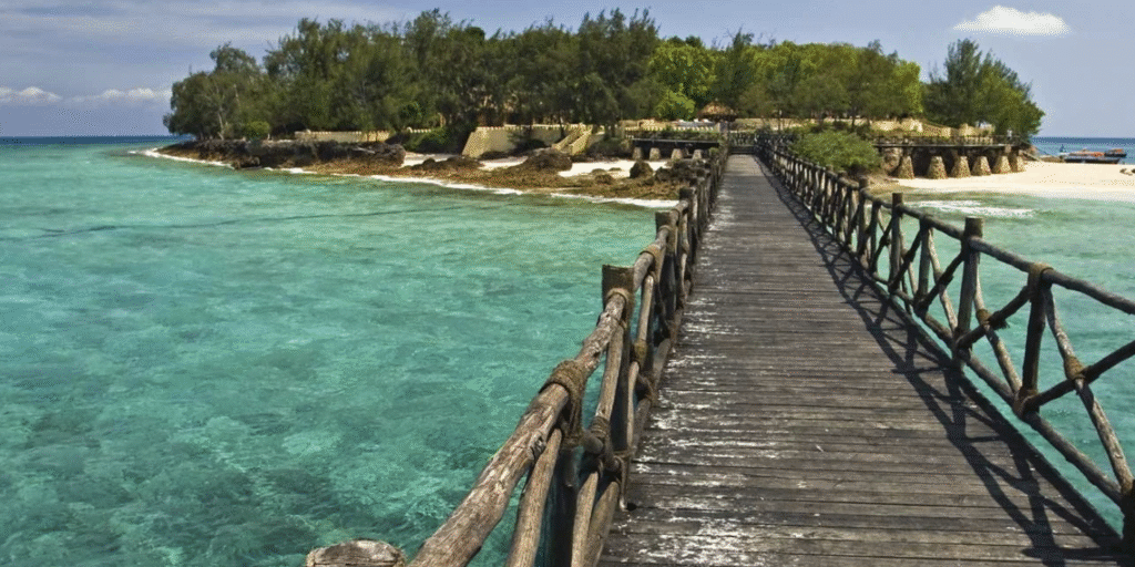 Zanzibar Tours