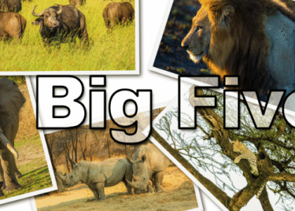 Best time to visit tsavo