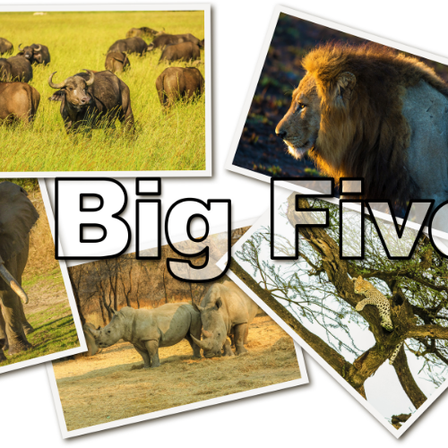 Best time to visit tsavo