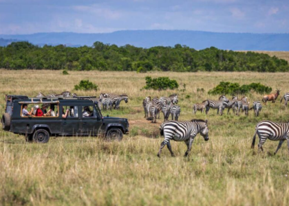 Safari Companies in Kenya That Stand Out for Their Safety Standards
