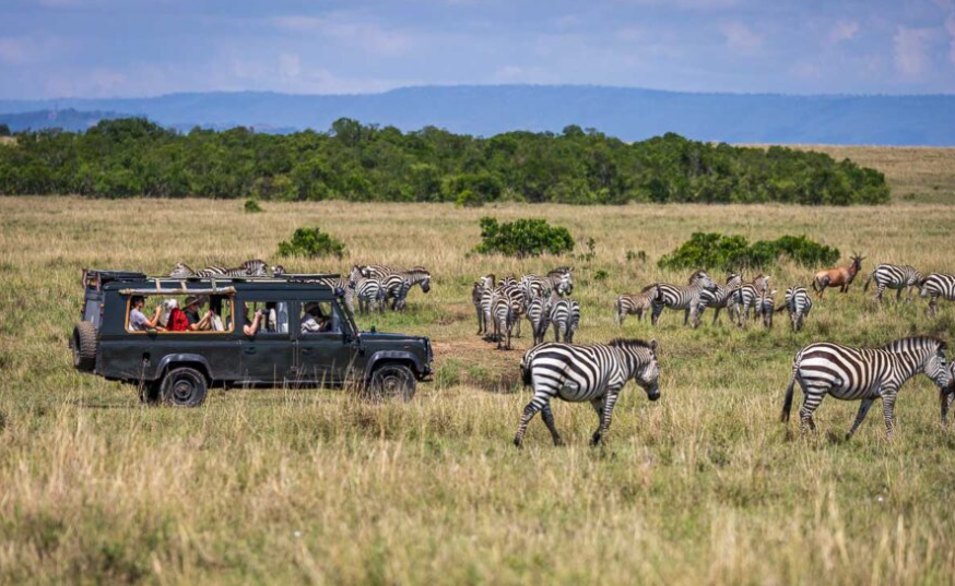 Safari Companies in Kenya That Stand Out for Their Safety Standards